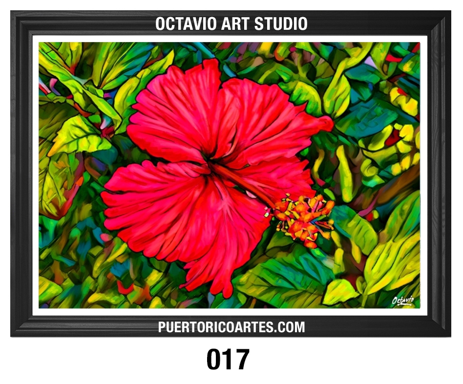 PR-017 Amapola del Bosque