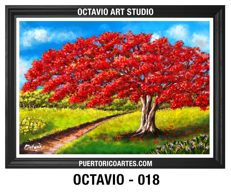 PR-018 – Camino del Flamboyán Rojo