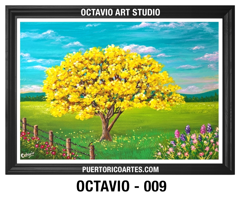 PR-009 – Roble Amarillo en el Campo