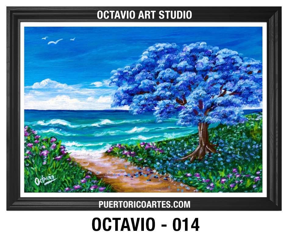 PR-014- Jacaranda y Playa, Puerto Rico