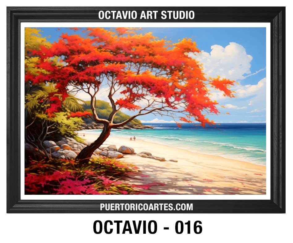 PR-016 Flamboyán Rojo en la Playa