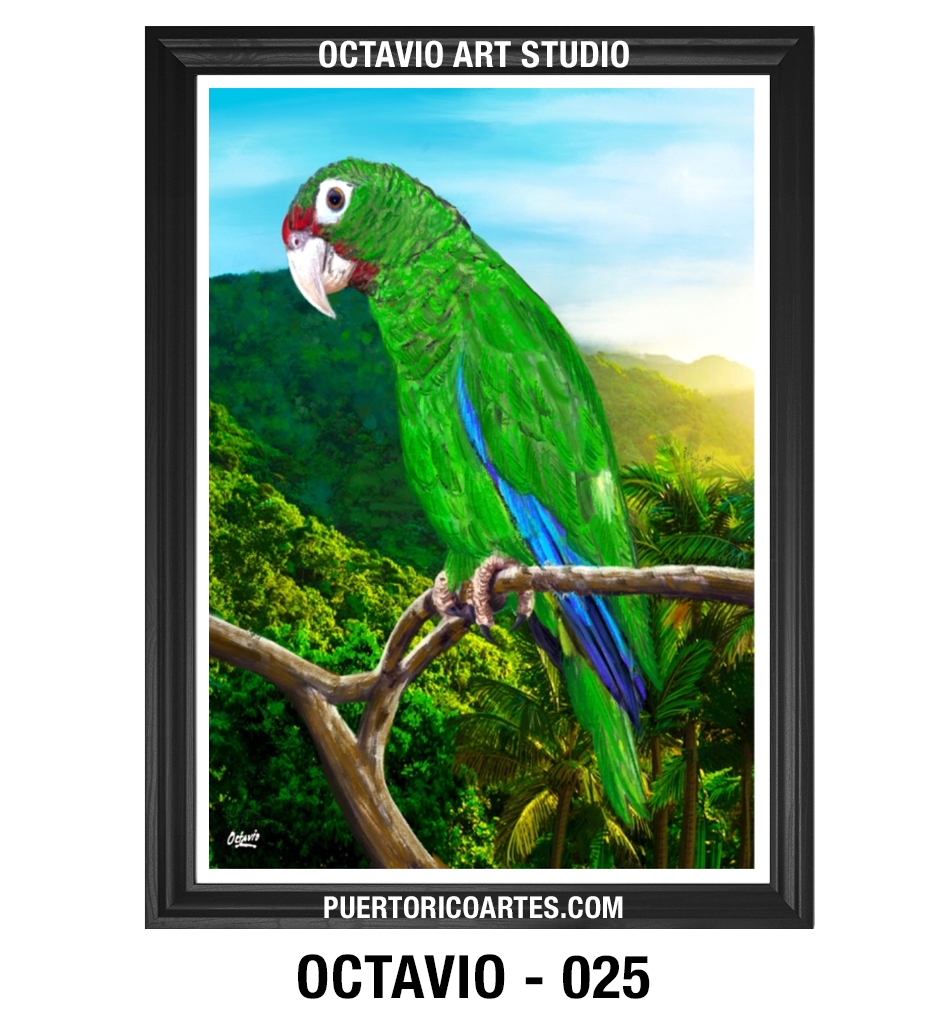 AN-025 Cotorra de Puerto Rico (Vertical)