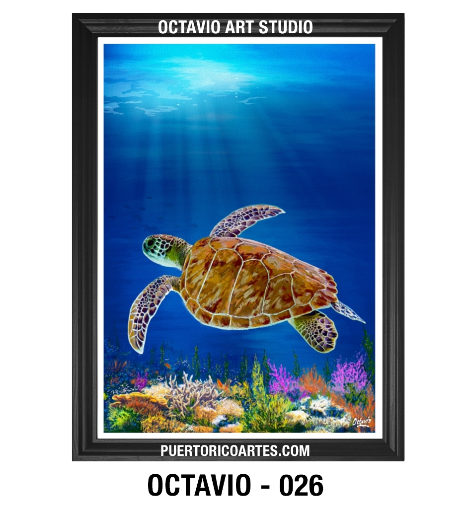 AN-026 Carey de Puerto Rico (Vertical)