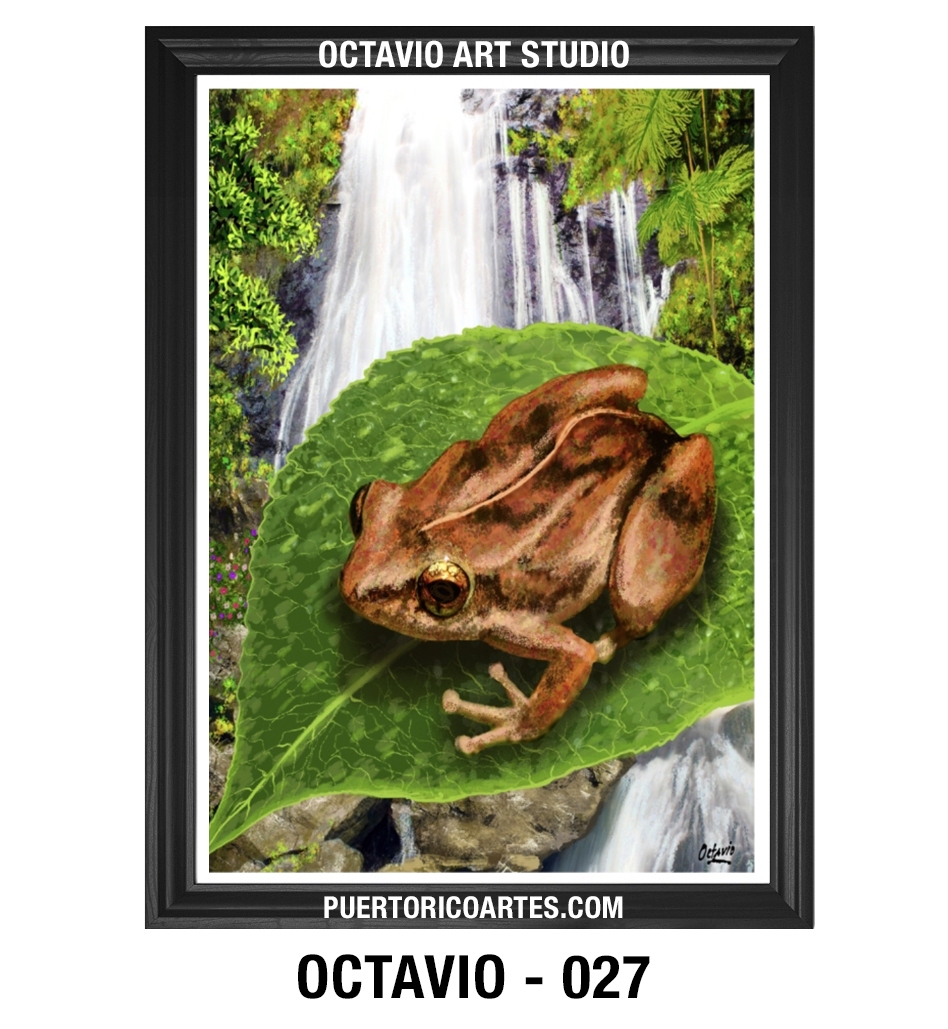 AN-027 Coquí de Puerto Rico (Vertical)