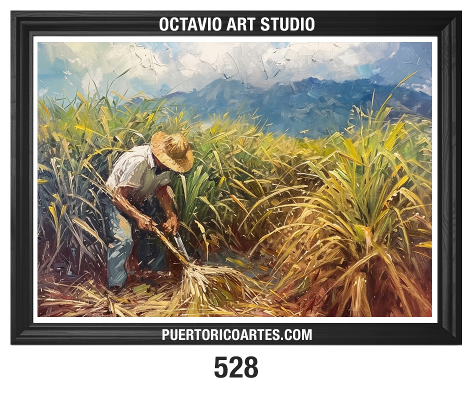 PR-528 Hombre cortando caña