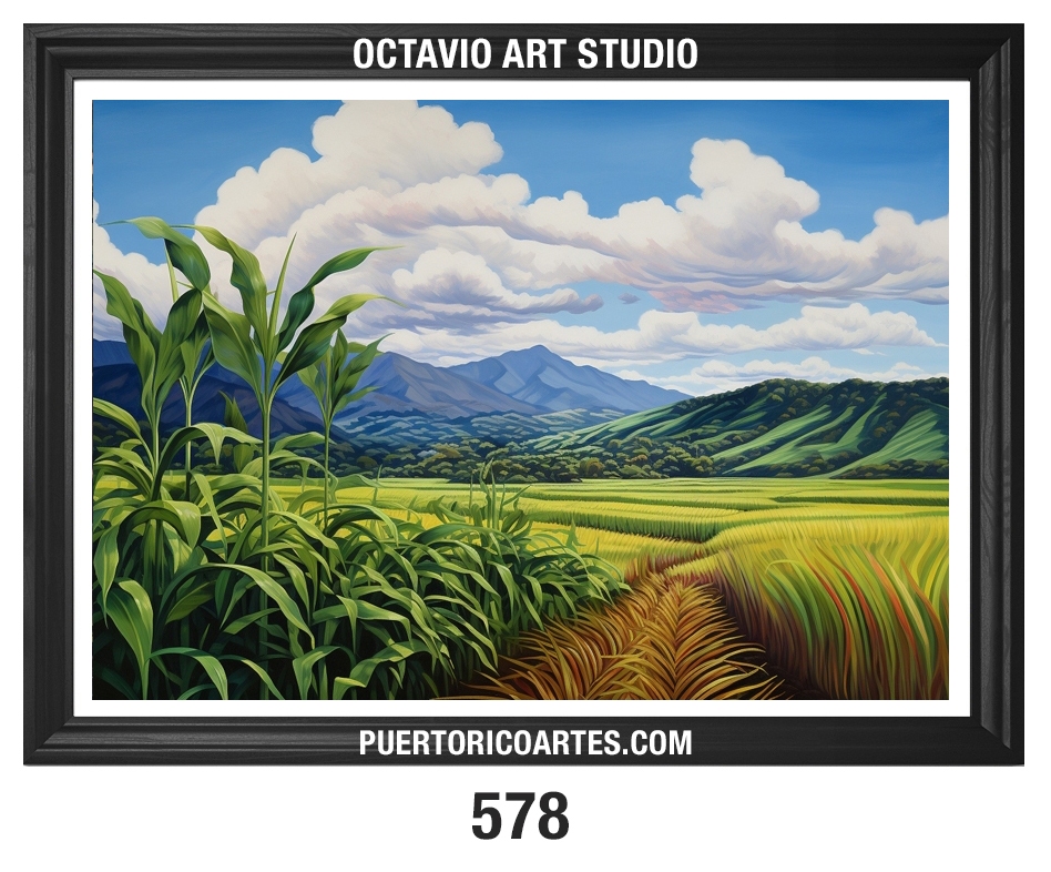 PR-578 Sembradío en el Campo v1