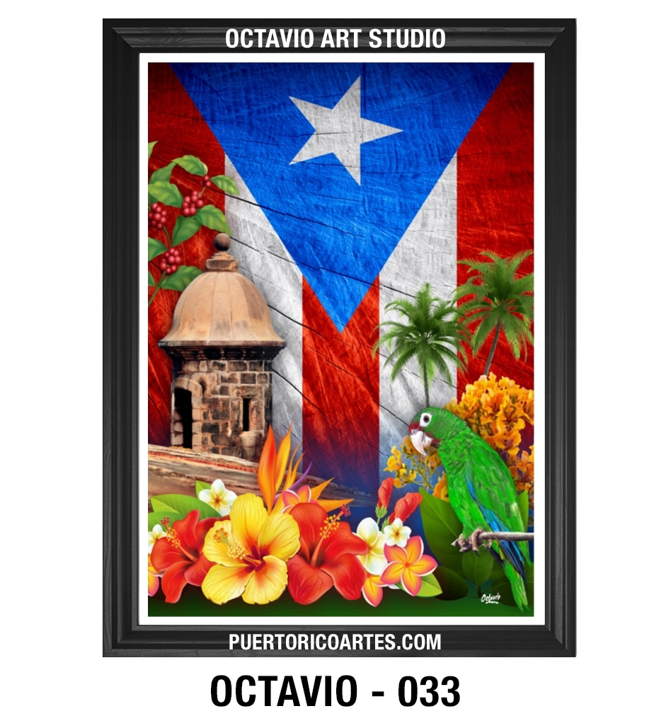 PR-033 Bandera de Puerto Rico y Símbolos