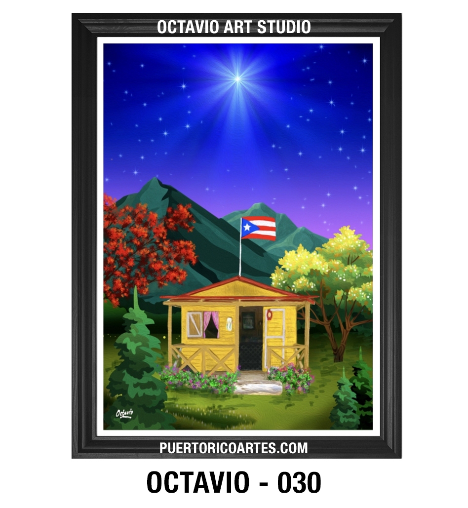 PR-030 Casita de Campo de Noche con Bandera de Puerto Rico