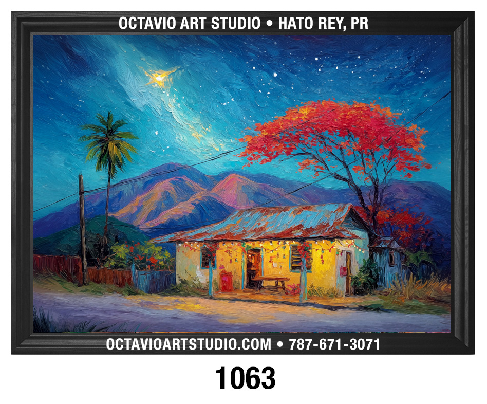 PR-1063 Casita Amarilla y Flamboyán en noche de Navidad 1