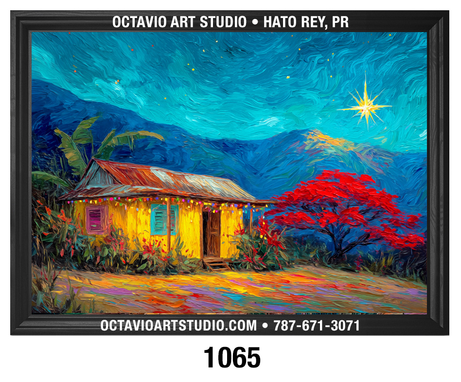 PR-1065 Casita Amarilla y Flamboyán en noche de Navidad 2