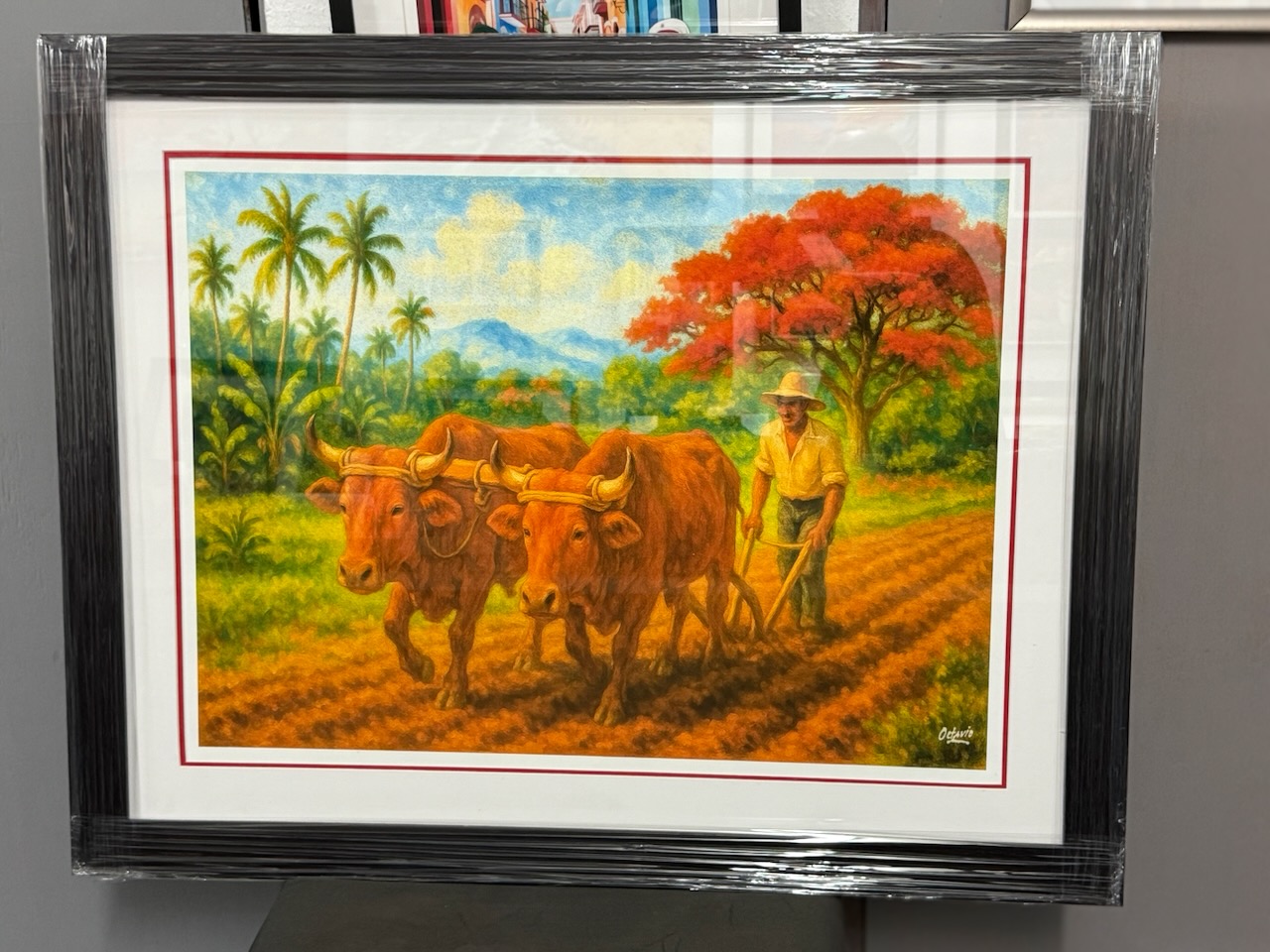 PR-1020 Arando Bueyes En El Campo - Enmarcado profesional 37"x29"