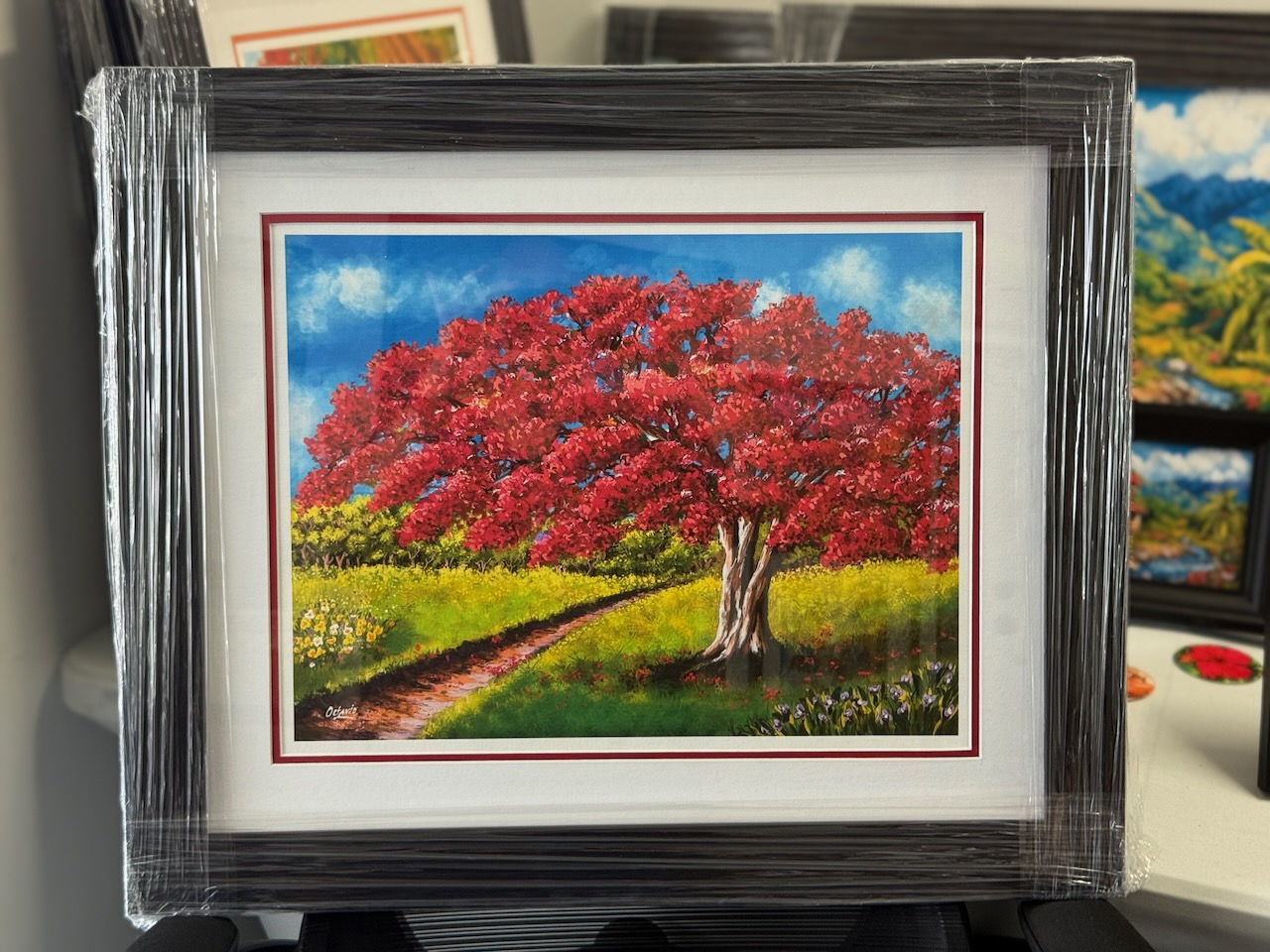 PR-018 – Camino del Flamboyán Rojo